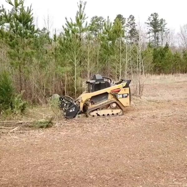 Skid steer with a forestry mulcher head on a freshly cleared field