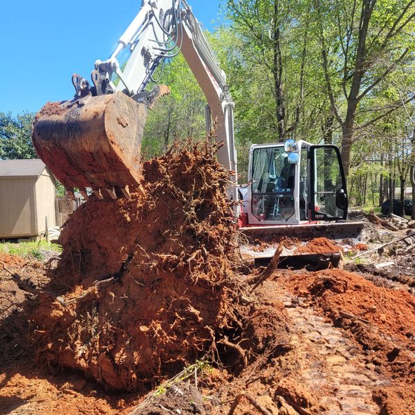 Excavator lifting a tree stump and root ball out of red clay