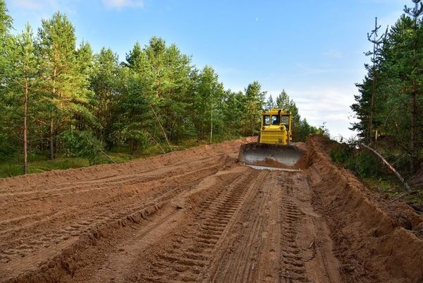 Dozer cutting a clay access road through standing timber
