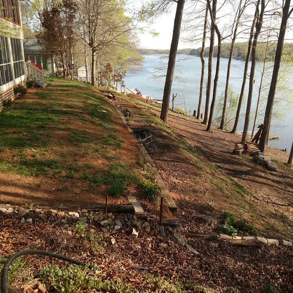 Eroded lakeside slope with timber retaining and exposed roots
