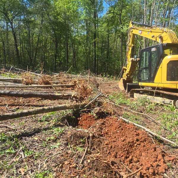 Excavator working a cleared lot scattered with stumps and brush