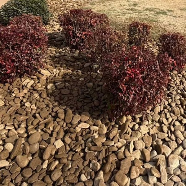 River rock spread as a finished landscape bed
