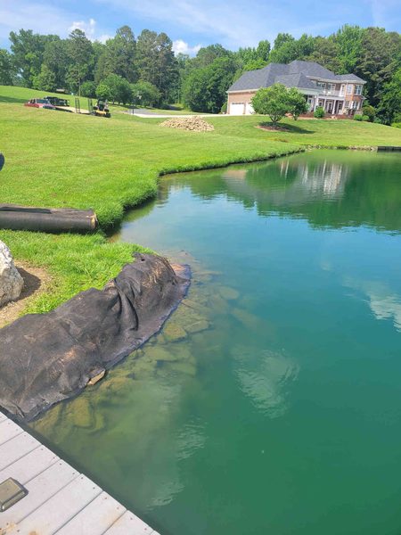 Finished pond holding water beside a landscaped lawn