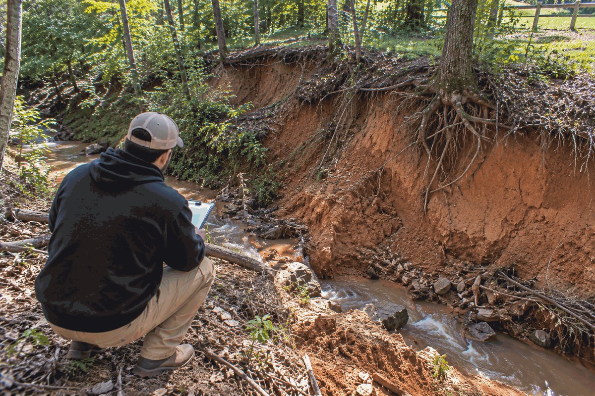 Estimator with a clipboard crouched above an eroded creek bank with exposed tree roots