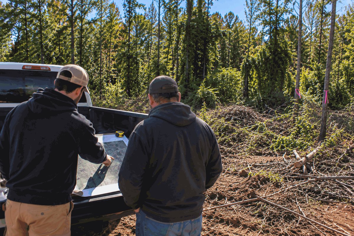 Two crew members going over a property map on a pickup tailgate beside a wooded lot being cleared