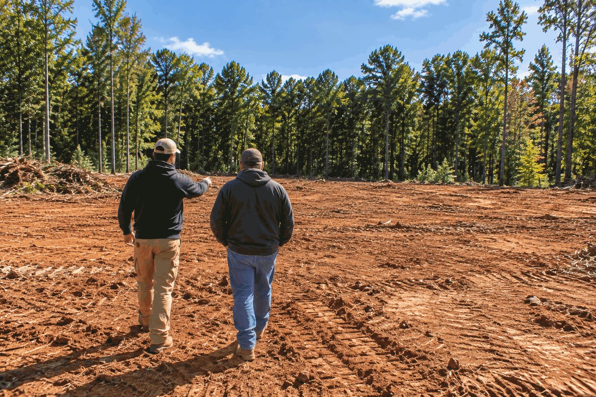 Two people walking across a freshly cleared lot with the treeline left standing behind it