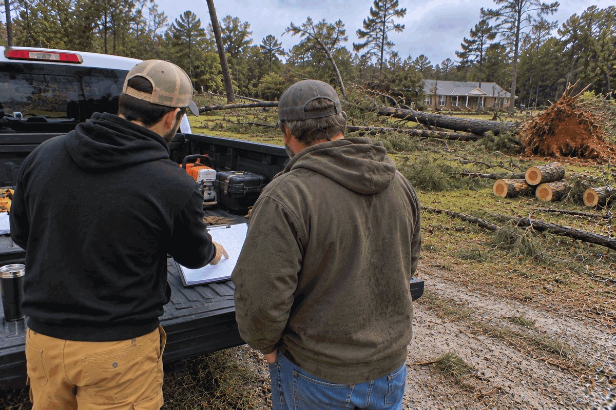 Two crew members going over a cleanup plan on a pickup tailgate beside fallen pines and cut log rounds