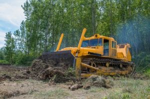 Land Clearing 101