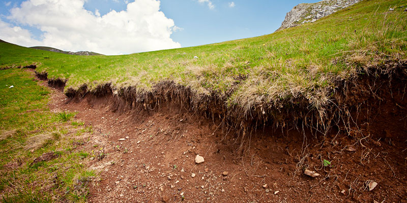3 Advantages of Proper Land Grading 
