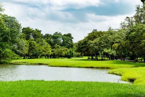 Why You Should Consider Pond Construction