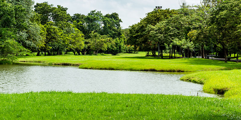 Why You Should Consider Pond Construction