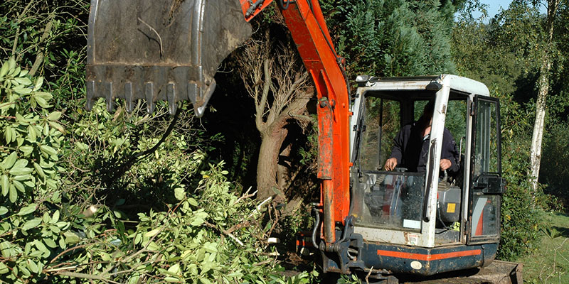 The Importance of Land Clearing