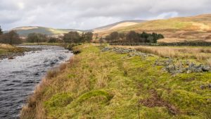 What to Expect from Our Erosion Control Services