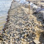 Shoreline Stabilization