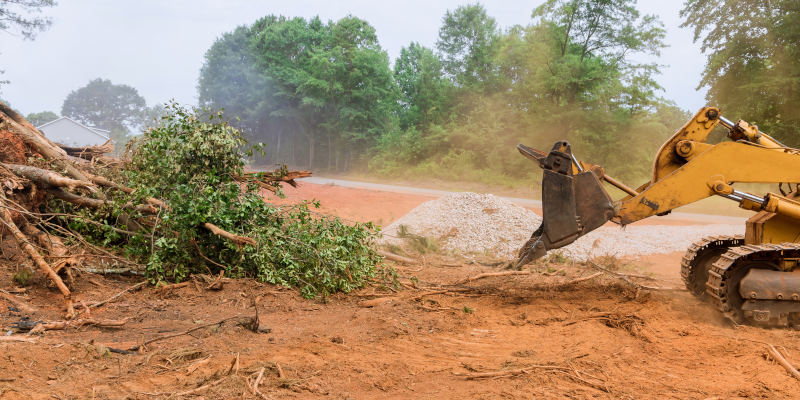 The Top Three Ways Land Clearing Can Benefit Your Property 
