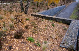 Signs Your Property Needs Need Erosion Control