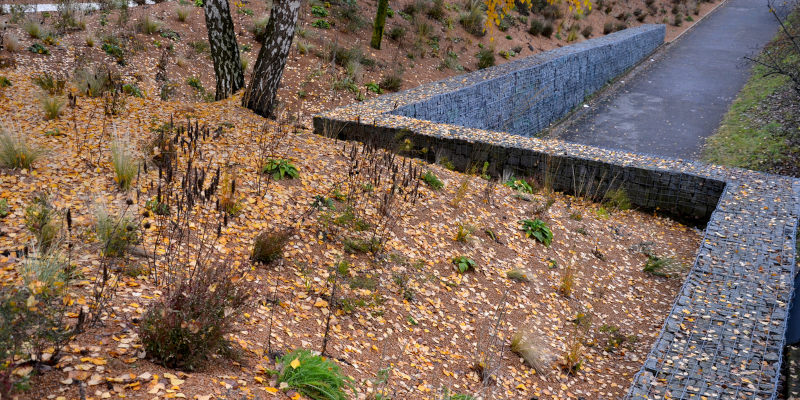 Signs Your Property Needs Need Erosion Control