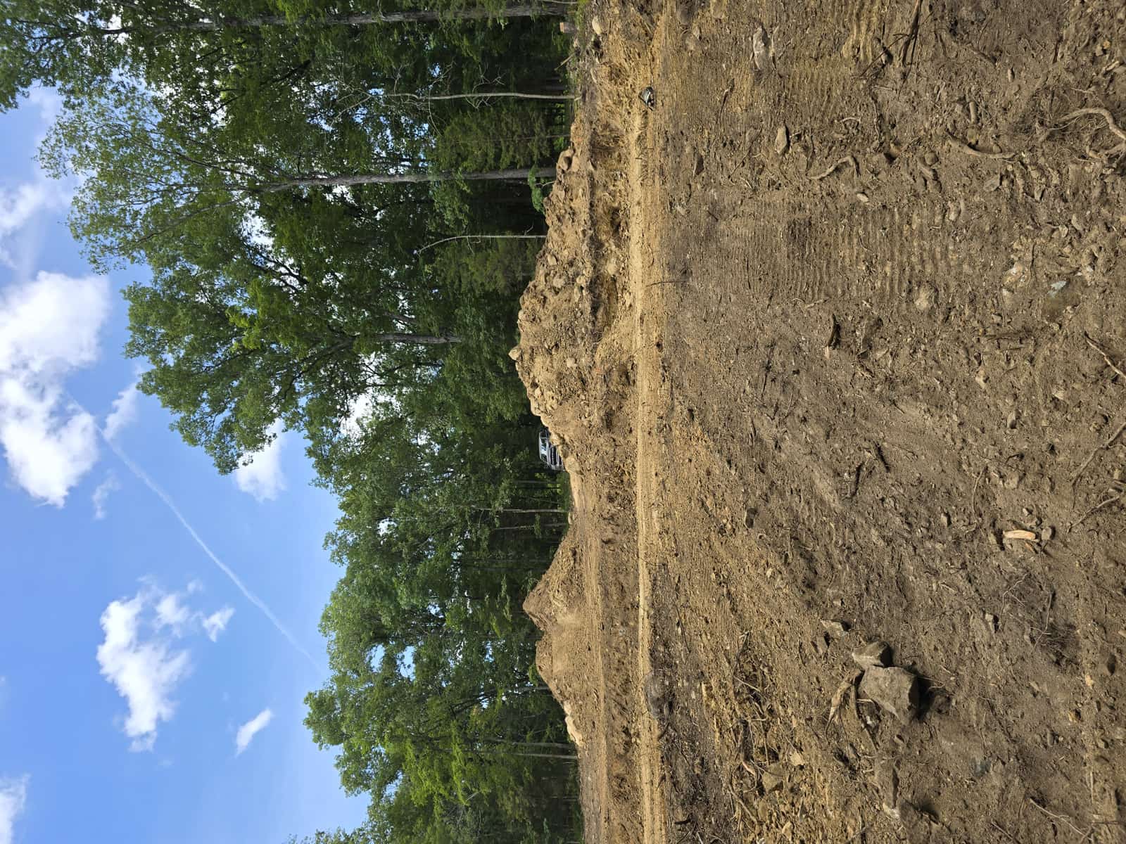 Snead's Outdoor Services' Gallery