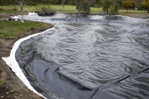 What to Consider Before Starting Pond Construction