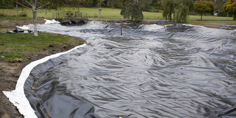 What to Consider Before Starting Pond Construction